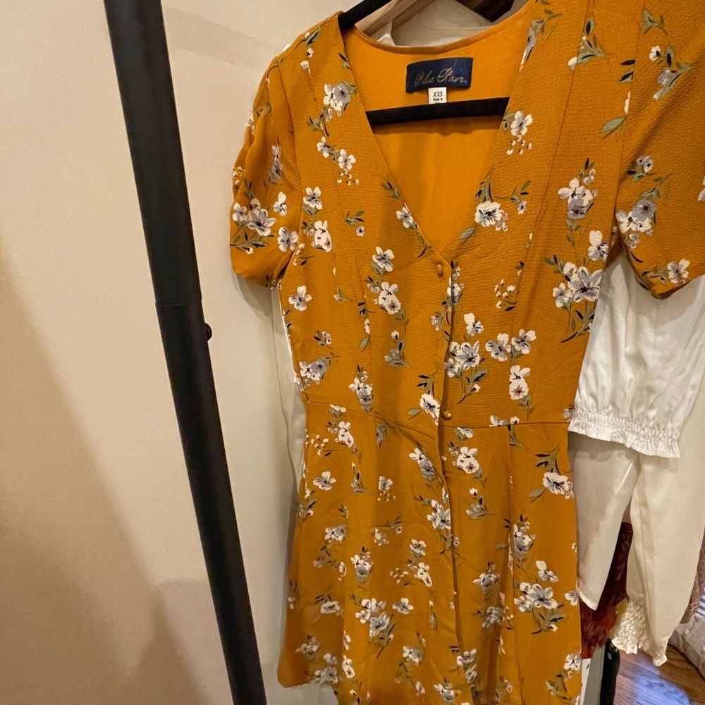 Francescas Floral Dress